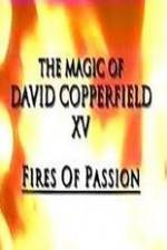 Watch The Magic of David Copperfield XV Fires of Passion Online Putlocker