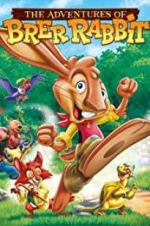Watch The Adventures of Brer Rabbit Online Putlocker