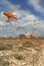 Watch Swarm Chasers: Locusts Putlocker