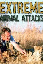 Watch Extreme Animal Attacks Putlocker