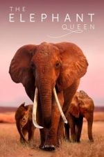 Watch The Elephant Queen Online Putlocker