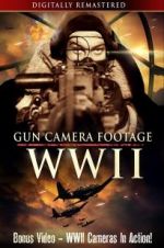 Watch Gun Camera Footage WWII Online Putlocker