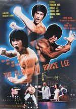 Watch The Clones of Bruce Lee Putlocker