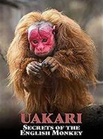 Watch Uakari: Secrets of the English Monkey Online Putlocker