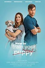 Watch How to Train Your Husband or (How to Pick Your Second Husband First) Putlocker