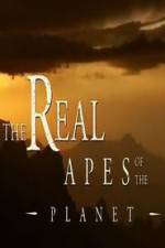 Watch The Real Apes of the Planet Putlocker