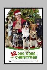 Watch 12 Dog Days of Christmas Online Putlocker