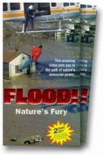 Watch Flood Online Putlocker