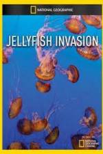 Watch National Geographic: Wild Jellyfish invasion Online Putlocker