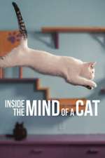 Watch Inside the Mind of a Cat Online Putlocker