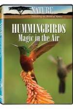 Watch Hummingbirds Magic in the Air Putlocker