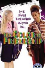 Watch The Color of Friendship Online Putlocker