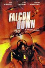 Watch Falcon Down Putlocker