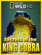 Watch Secrets of the King Cobra Online Putlocker