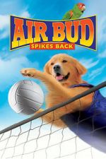 Watch Air Bud: Spikes Back Online Putlocker