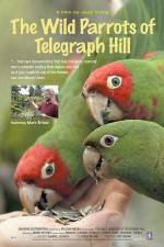 Watch The Wild Parrots of Telegraph Hill Putlocker