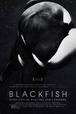 Watch Blackfish Online Putlocker