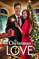 Watch A Christmas Love Putlocker