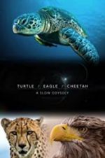 Watch Turtle, Eagle, Cheetah: A Slow Odyssey Putlocker