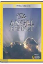 Watch National Geographic Explorer - The Angel Effect Putlocker