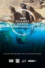 Watch Planet Earth: A Celebration Putlocker