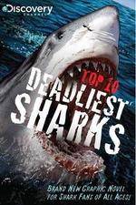 Watch National Geographic Worlds Deadliest Sharks Putlocker