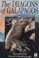 Watch The Dragons of Galapagos Putlocker