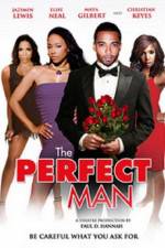 Watch The Perfect Man Online Putlocker