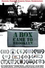 Watch A Box Came to Brooklyn Putlocker
