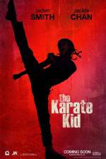 Watch The Karate Kid Online Putlocker