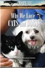 Watch Why We Love Cats And Dogs Online Putlocker