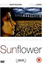 Watch Sunflower Putlocker