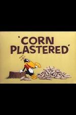 Watch Corn Plastered (Short 1951) Online Putlocker