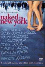Watch Naked in New York Putlocker