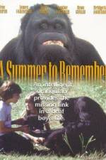 Watch A Summer to Remember Online Putlocker