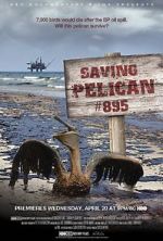 Watch Saving Pelican 895 (Short 2011) Online Putlocker