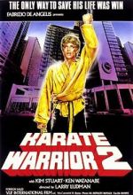 Watch Karate Warrior 2 Online Putlocker