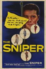Watch The Sniper Putlocker