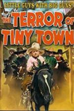 Watch The Terror of Tiny Town Putlocker