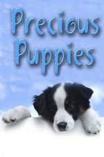 Watch Precious Puppies Putlocker