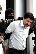 Watch The Rise and Fall of El Chapo Putlocker