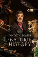 Watch Fantastic Beasts: A Natural History Putlocker