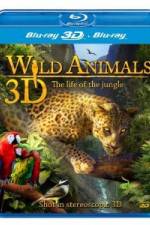 Watch Wild Animals - The Life of the Jungle 3D Putlocker
