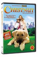 Watch Chestnut - Hero of Central Park Online Putlocker