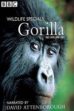 Watch Gorilla Revisited with David Attenborough Online Putlocker