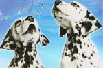 Watch 101 Dalmatians Sing Along Putlocker