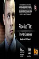 Watch Pistorius Trial: The Key Questions Putlocker