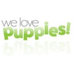 Watch We Love Puppies Putlocker