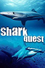 Watch Shark Quest Online Putlocker