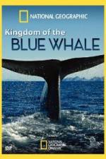 Watch National Geographic Kingdom of Blue Whale Online Putlocker